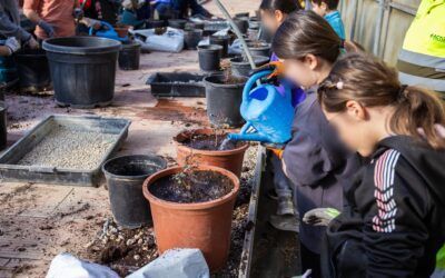 Comienza la semana del árbol con los talleres de educación ambiental para los centros educativos
