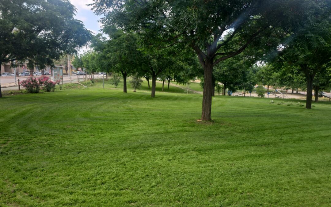 Cheste gana un nuevo «pulmón verde» frente a la jefatura de la Policía Local